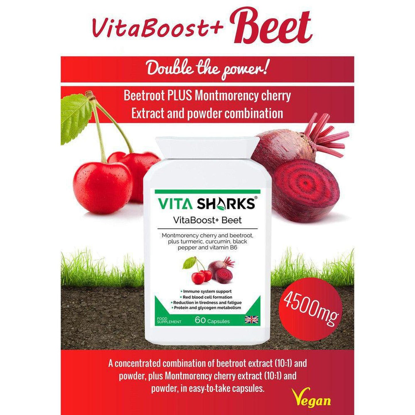 VitaBoost+ Beet | Montmorency Cherry & Beetroot Forrmula Antioxidant Supplement - A supplement high in bioavailable antioxidants (including anthocyanins) containing non-irritating iron; with black pepper increasing absorption and utilisation of the beneficial ingredients in the formula. Supporting the reduction of tiredness and fatigue, energy-yielding metabolism, immunity, red blood cell formation. Buy Now at Sacred Remedy