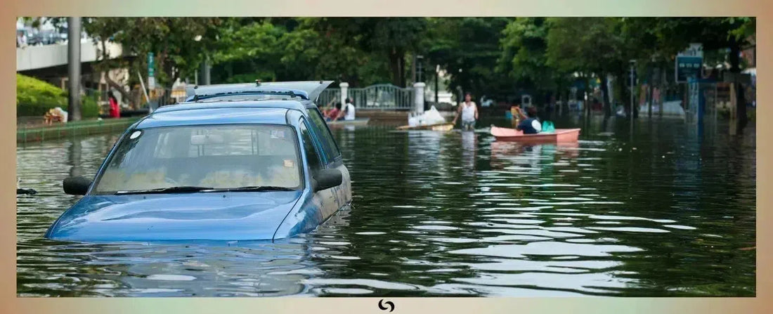 Read about Pakistan Flooding Emergency in Corporate Social Responsibility Blog | by Sacred Remedy