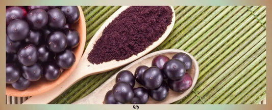 Read about Acai berries - What puts the "super" in this superfood? in Sacred Supplements Blog | by Sacred Remedy