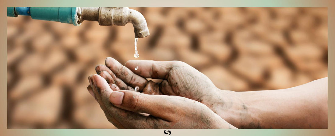 Read about Project VITAwater Update (12.20) in Corporate Social Responsibility Blog | by Sacred Remedy