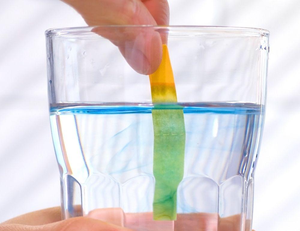 Shop the Alkalising collection at Sacred Remedy Holistic Health & Wellness Store