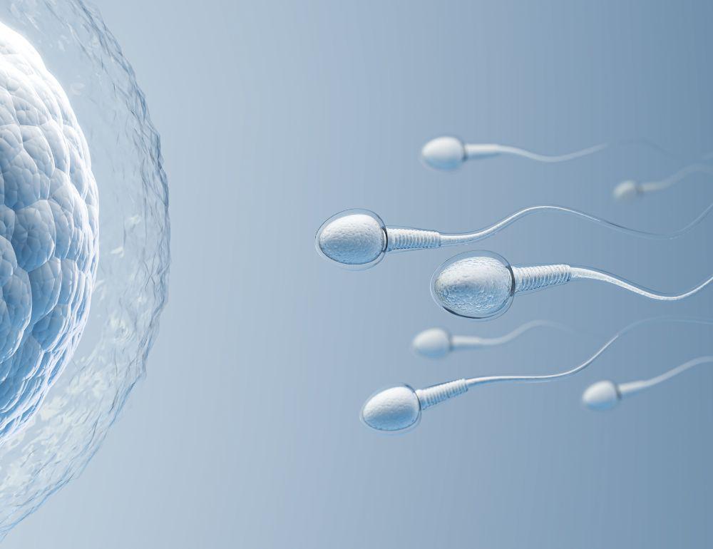 Shop the Fertility & Sexual Health collection at Sacred Remedy Holistic Health & Wellness Store