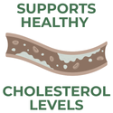 'Supports Healthy Cholesterol Levels' on a white background