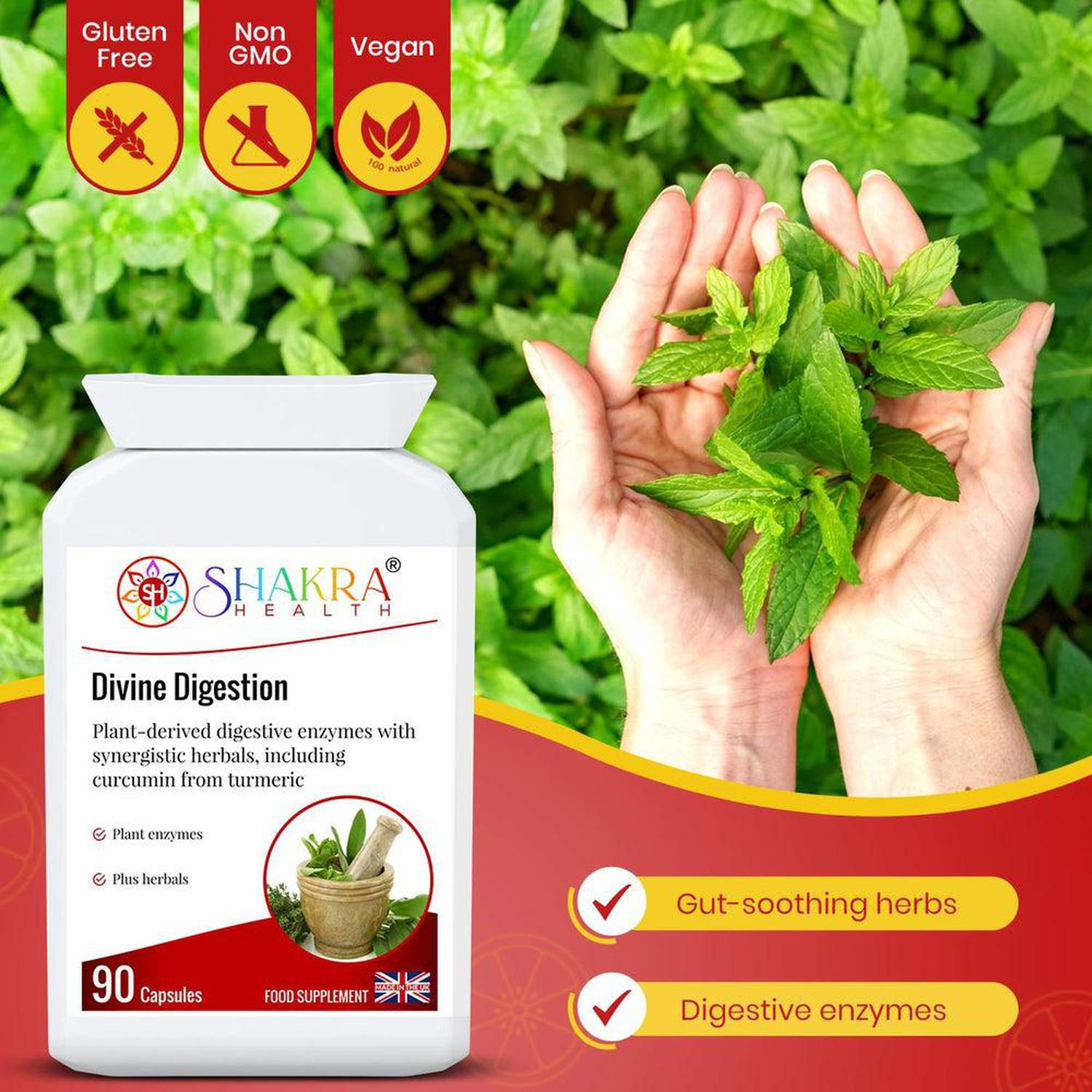 Divine Digestion | Anti-Spasmodic & Gut-Soothing - Support your second brain! High-strength digestive enzymes (Bromelain, Papain) with Turmeric & Ginger for gut health, nutrient absorption & a balanced Solar Plexus Buy Now at Sacred Remedy