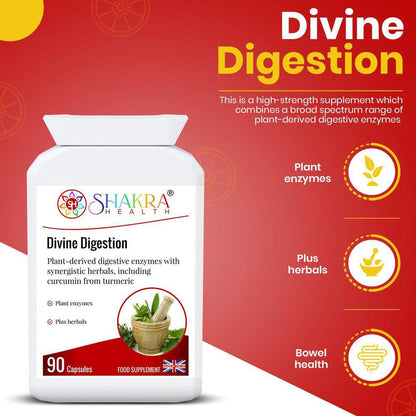 Divine Digestion | Anti-Spasmodic & Gut-Soothing - Support your second brain! High-strength digestive enzymes (Bromelain, Papain) with Turmeric & Ginger for gut health, nutrient absorption & a balanced Solar Plexus Buy Now at Sacred Remedy