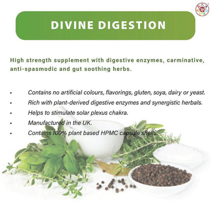 Divine Digestion | Anti-Spasmodic & Gut-Soothing - Support your second brain! High-strength digestive enzymes (Bromelain, Papain) with Turmeric & Ginger for gut health, nutrient absorption & a balanced Solar Plexus Buy Now at Sacred Remedy
