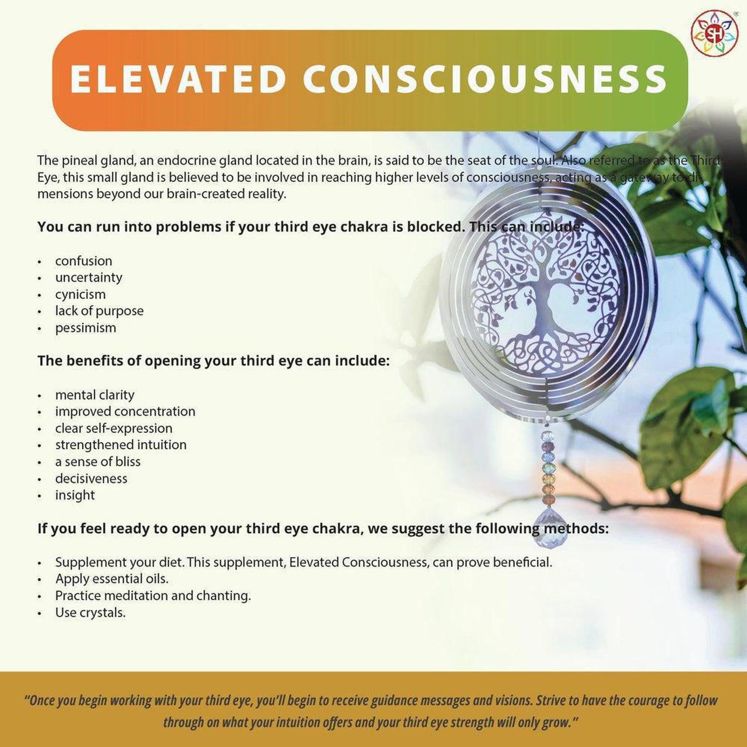 Elevated Consciousness | Natural Nootropic & Brain Food Supplement by Shakra Health UK - A super-concentrated, powerful food supplement for the brain - a natural nootropic and nutritional cognitive enhancer. And more! It contains a special combination of vitamin and mineral ingredients that support focus, concentration, mental performance, memory recall and energy levels. Buy Now at Sacred Remedy