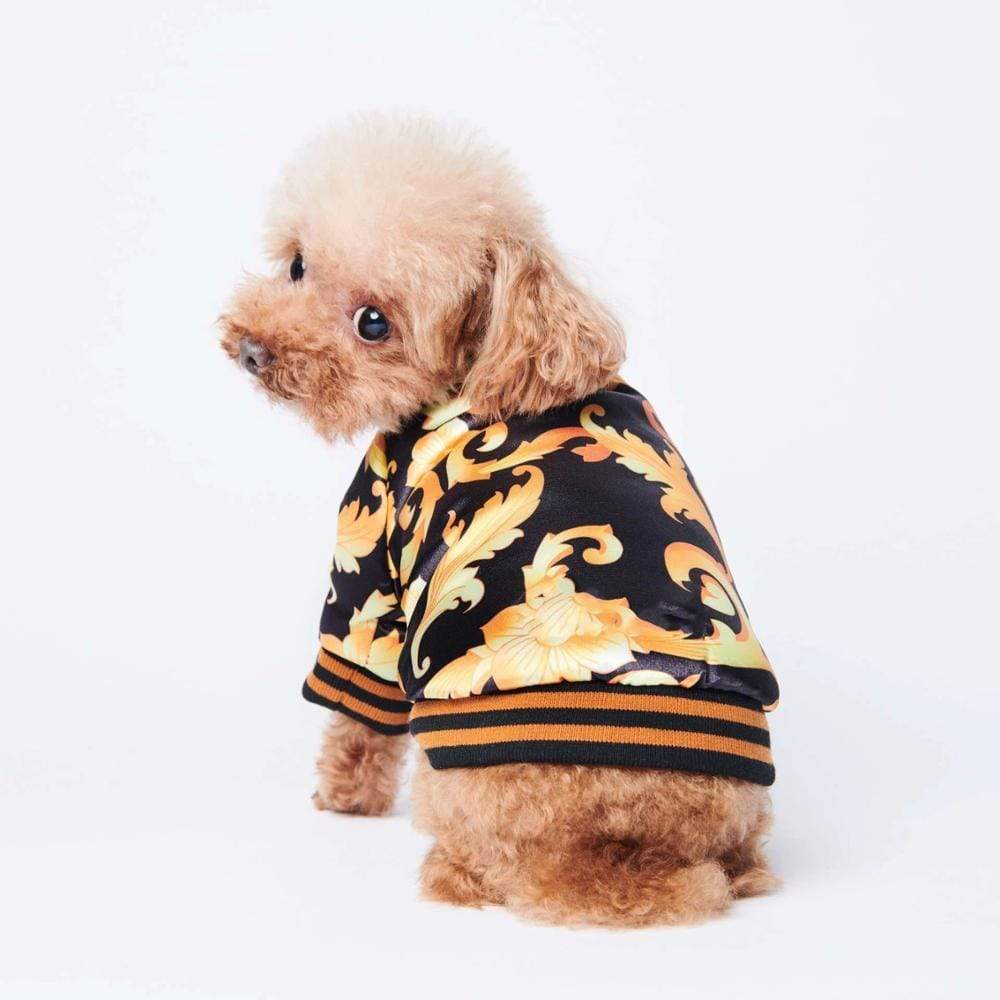 Buy Gold & Black Insulated Dog Jacket - Varsity Style - Keep your sidekick always looking stylish with the Golden Printed Dog Jacket. This incredibly soft jacket is crafted from a lightweight fabric, allowing your pooch to stay comfortably cool whether you two are enjoying brunch on an outdoor patio, or binge-watching your favorite show on the couch! at Sacred Remedy Online