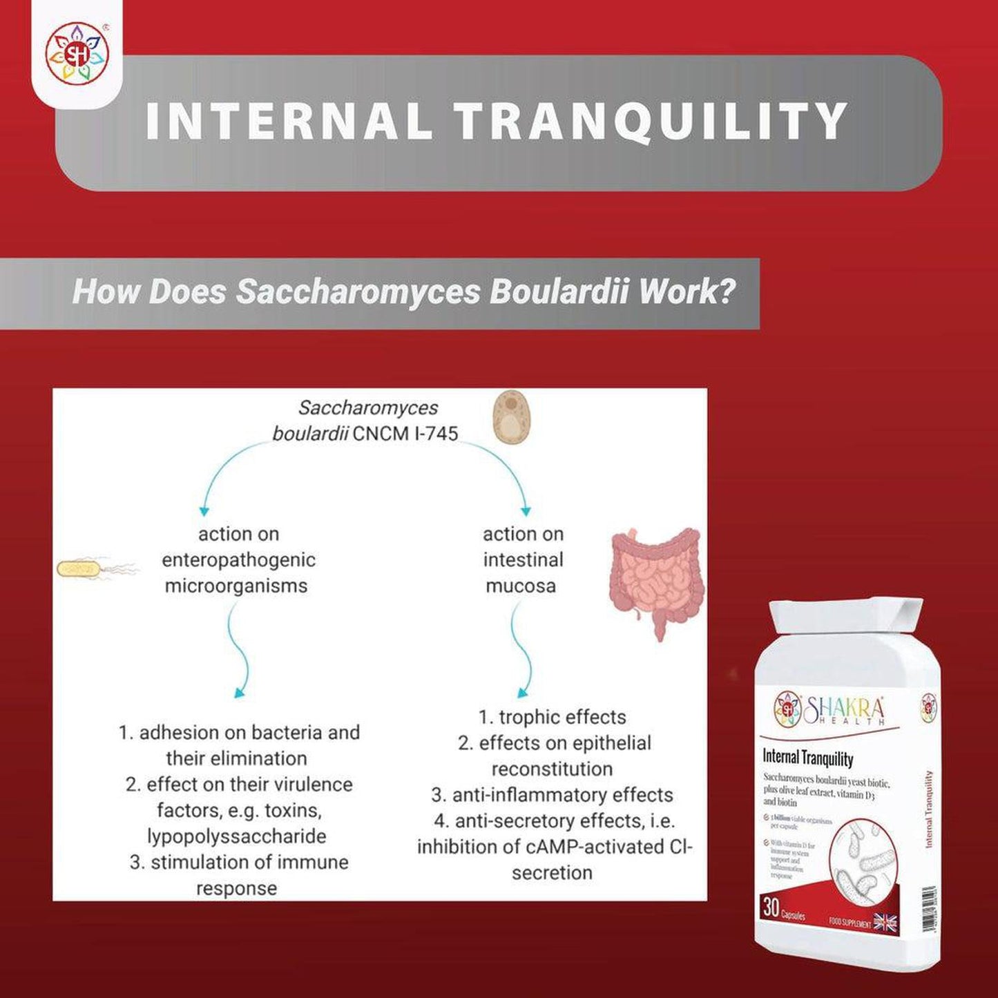 Internal Tranquility | Balance Gut Flora with Saccharomyces Boulardii Probiotic Yeast - Restore Gut Balance & Digestive Harmony. Ideal for use following antibiotics, travelling abroad & after colonic hydrotherapy treatments. A powerful, yet gentle, approach to supporting your digestive health. This daily supplement features a high dose of this beneficial, probiotic yeast strain. Buy Now at Sacred Remedy