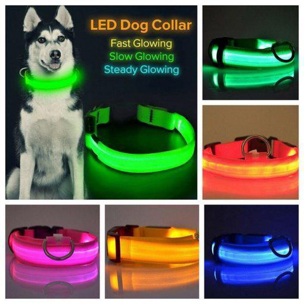 Buy LED Safety Dog Collar | Light up for night & winter walks - Light-up dog collars allow owners, walkers and drivers to see dogs when it's dark and help prevent accidents or the dog getting lost. A lighted collar gives you the added safety of 360 degree visibility unlike a blinker or a collar light which typically hangs under your dog's neck. at Sacred Remedy Online