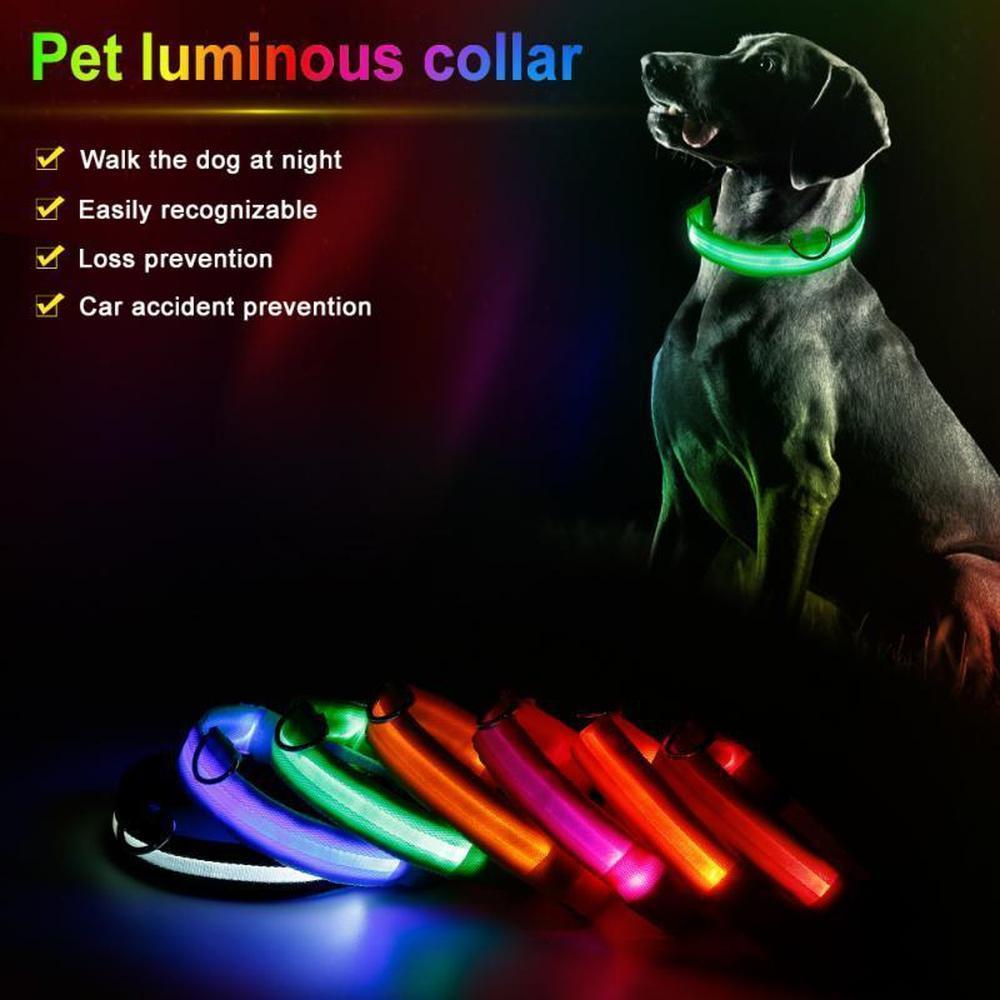 Buy LED Safety Dog Collar | Light up for night & winter walks - Light-up dog collars allow owners, walkers and drivers to see dogs when it's dark and help prevent accidents or the dog getting lost. A lighted collar gives you the added safety of 360 degree visibility unlike a blinker or a collar light which typically hangs under your dog's neck. at Sacred Remedy Online