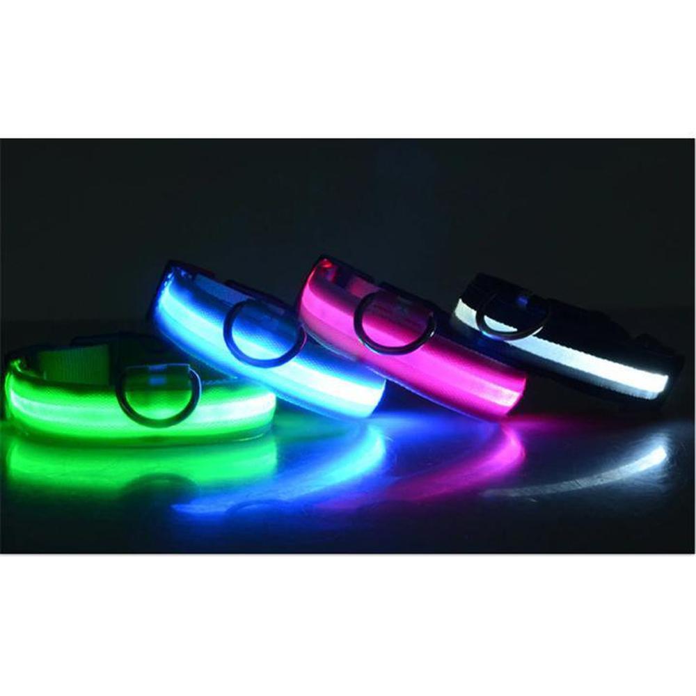 Buy LED Safety Dog Collar | Light up for night & winter walks - Light-up dog collars allow owners, walkers and drivers to see dogs when it's dark and help prevent accidents or the dog getting lost. A lighted collar gives you the added safety of 360 degree visibility unlike a blinker or a collar light which typically hangs under your dog's neck. at Sacred Remedy Online