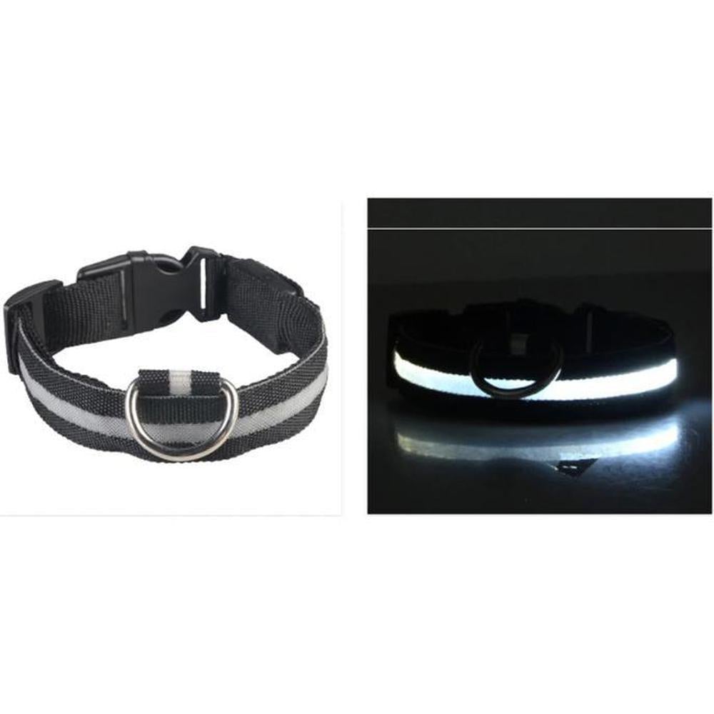 Buy LED Safety Dog Collar | Light up for night & winter walks - Light-up dog collars allow owners, walkers and drivers to see dogs when it's dark and help prevent accidents or the dog getting lost. A lighted collar gives you the added safety of 360 degree visibility unlike a blinker or a collar light which typically hangs under your dog's neck. at Sacred Remedy Online