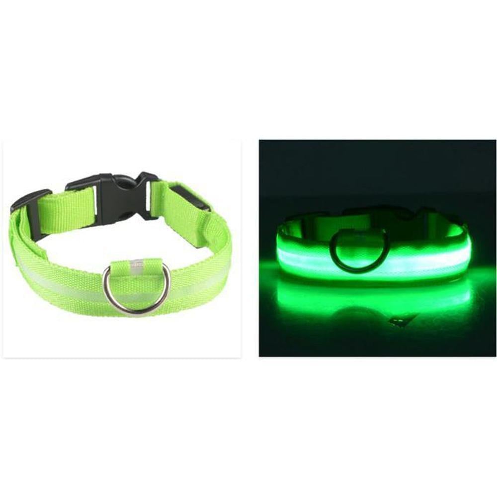 Buy LED Safety Dog Collar | Light up for night & winter walks - Light-up dog collars allow owners, walkers and drivers to see dogs when it's dark and help prevent accidents or the dog getting lost. A lighted collar gives you the added safety of 360 degree visibility unlike a blinker or a collar light which typically hangs under your dog's neck. at Sacred Remedy Online