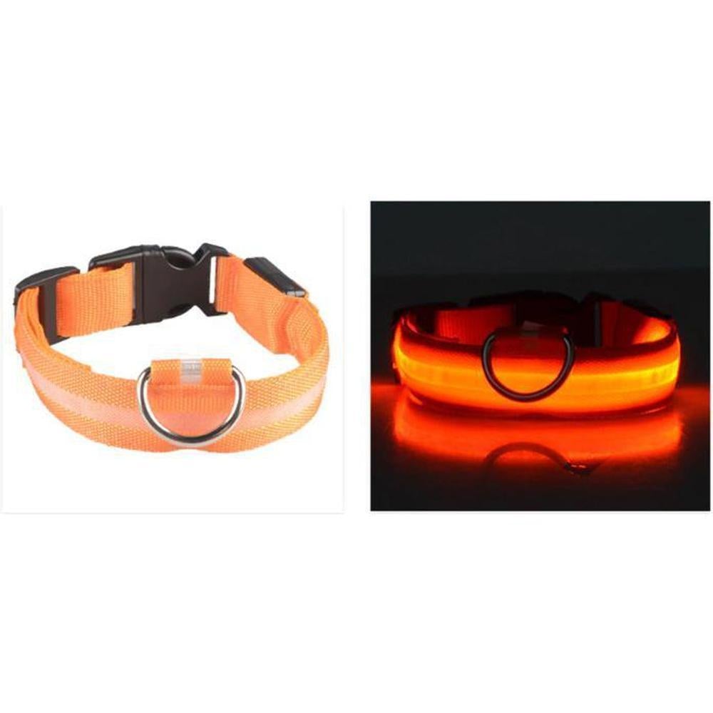 Buy LED Safety Dog Collar | Light up for night & winter walks - Light-up dog collars allow owners, walkers and drivers to see dogs when it's dark and help prevent accidents or the dog getting lost. A lighted collar gives you the added safety of 360 degree visibility unlike a blinker or a collar light which typically hangs under your dog's neck. at Sacred Remedy Online