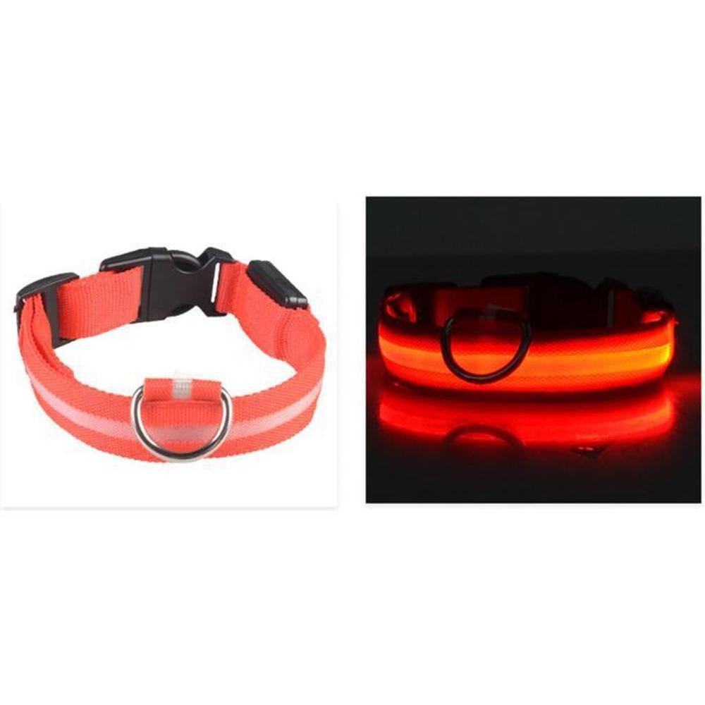 Buy LED Safety Dog Collar | Light up for night & winter walks - Light-up dog collars allow owners, walkers and drivers to see dogs when it's dark and help prevent accidents or the dog getting lost. A lighted collar gives you the added safety of 360 degree visibility unlike a blinker or a collar light which typically hangs under your dog's neck. at Sacred Remedy Online