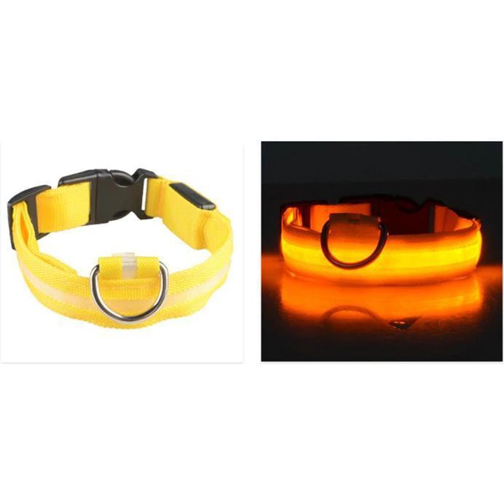 Buy LED Safety Dog Collar | Light up for night & winter walks - Light-up dog collars allow owners, walkers and drivers to see dogs when it's dark and help prevent accidents or the dog getting lost. A lighted collar gives you the added safety of 360 degree visibility unlike a blinker or a collar light which typically hangs under your dog's neck. at Sacred Remedy Online