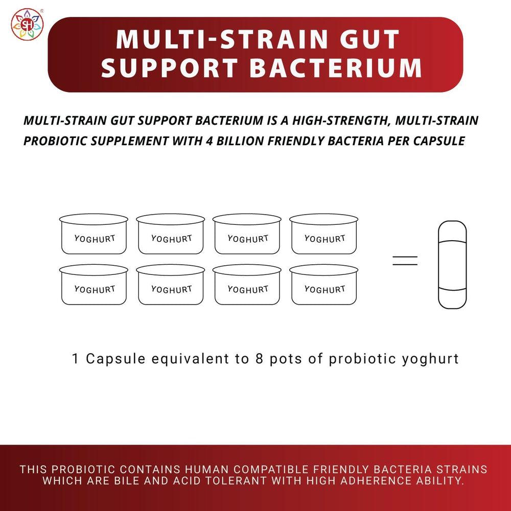 Buy Multi-Strain Gut Support Bacterium | Full Spectrum Support of Upper & Lower Bowel - Looking to optimize your digestive health and well-being? Look no further than Multi-Strain Gut Support Bacterium! This potent formula combines a diverse blend of beneficial bacteria to create a thriving gut microbiome. at Sacred Remedy Online