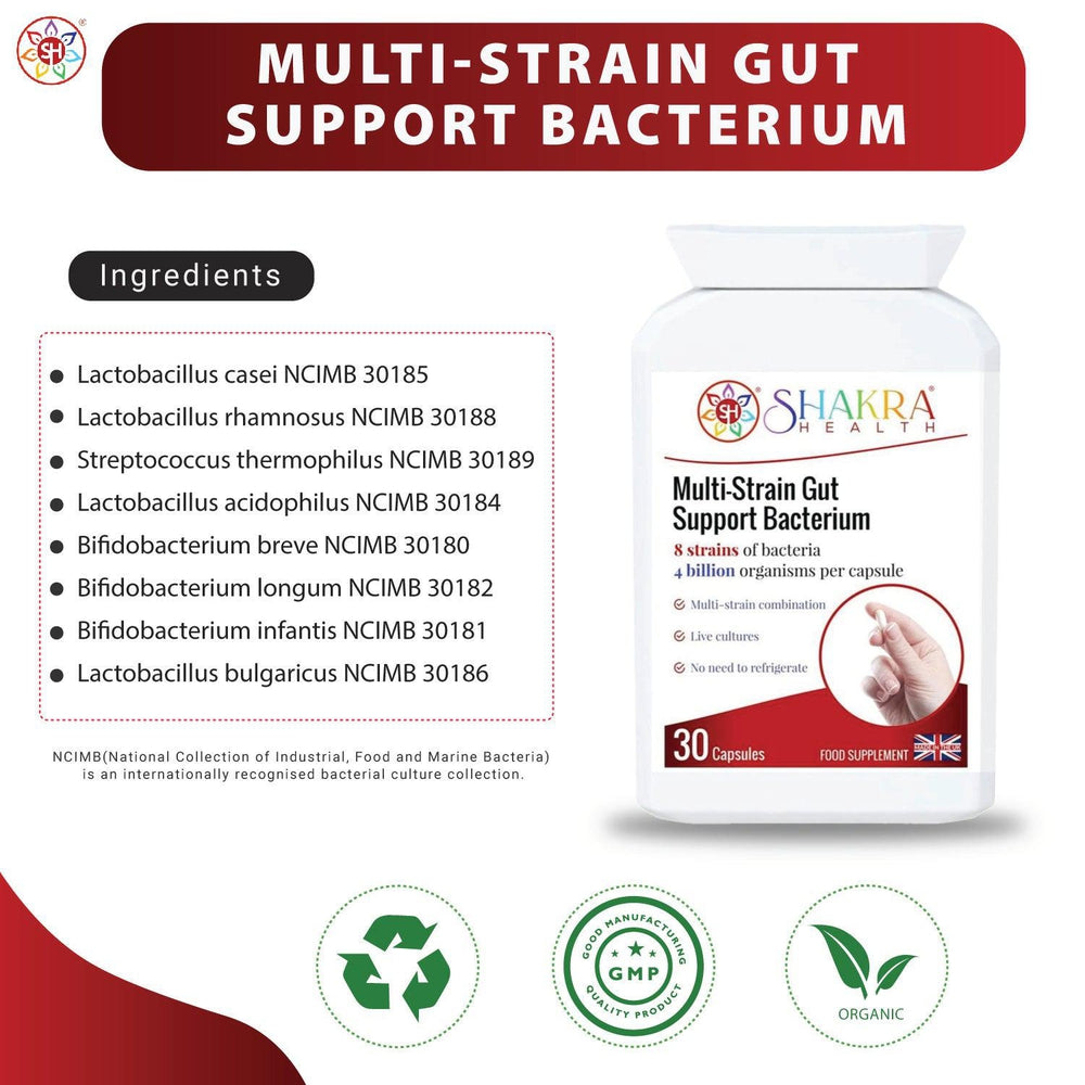 Buy Multi-Strain Gut Support Bacterium | Full Spectrum Support of Upper & Lower Bowel - Looking to optimize your digestive health and well-being? Look no further than Multi-Strain Gut Support Bacterium! This potent formula combines a diverse blend of beneficial bacteria to create a thriving gut microbiome. at Sacred Remedy Online