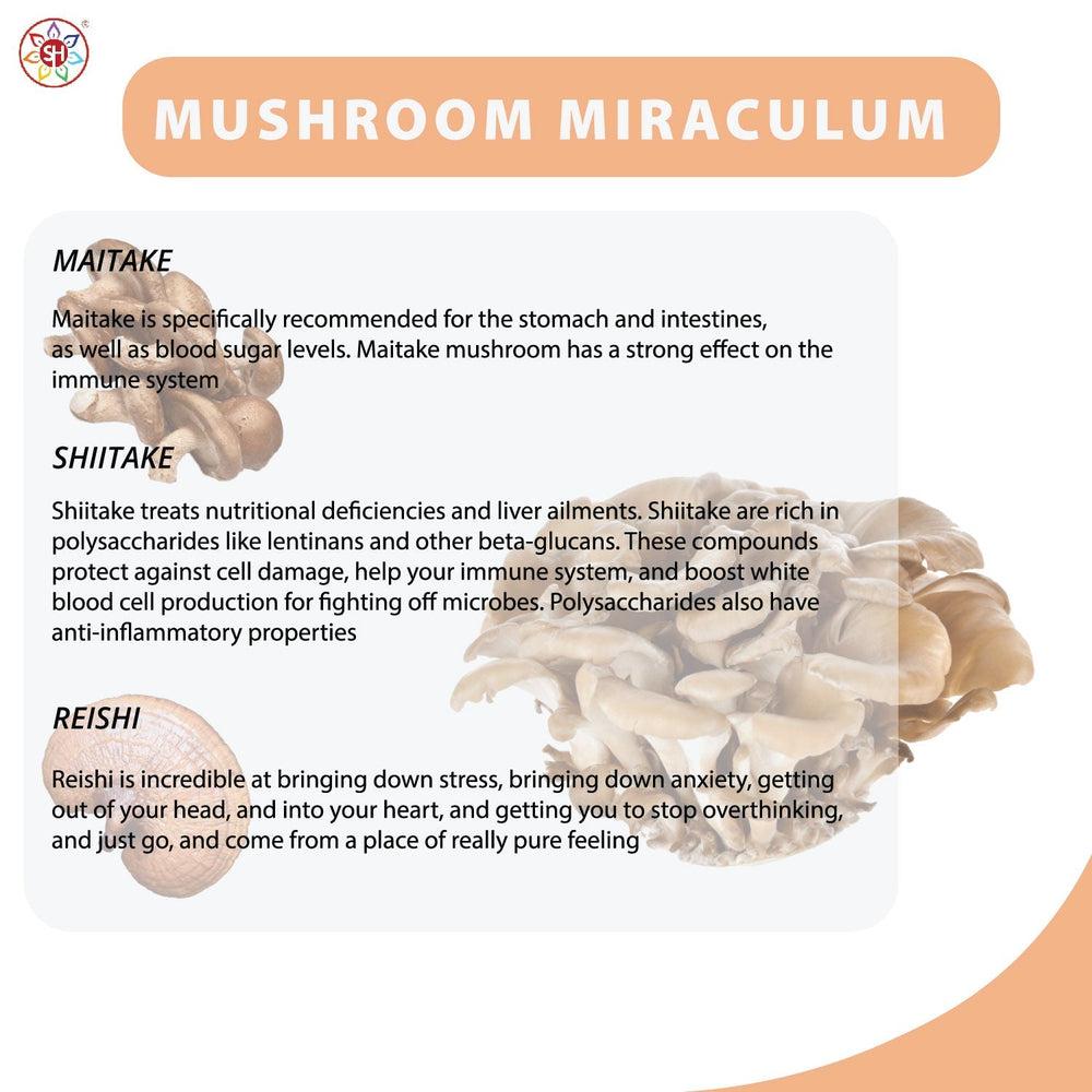 Buy Mushroom Miraculum | Mushroom Complex with Maitake, Reishi, Shiitake, Lion's Mane, Chaga - Mushrooms have always occupied a curious spot in the human psyche. This special complex supports everything from cognitive function, mental well-being and energy levels, to healthy digestion, lower levels of inflammation, protection from oxidative stress and general wellness. at Sacred Remedy Online