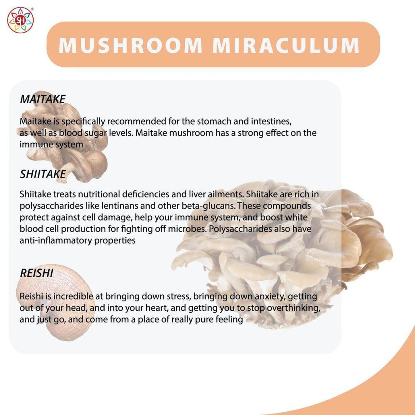 Mushroom Miraculum | Mushroom Complex with Maitake, Reishi, Shiitake, Lion's Mane, Chaga - Mushrooms have always occupied a curious spot in the human psyche. This special complex supports everything from cognitive function, mental well-being and energy levels, to healthy digestion, lower levels of inflammation, protection from oxidative stress and general wellness. Buy Now at Sacred Remedy