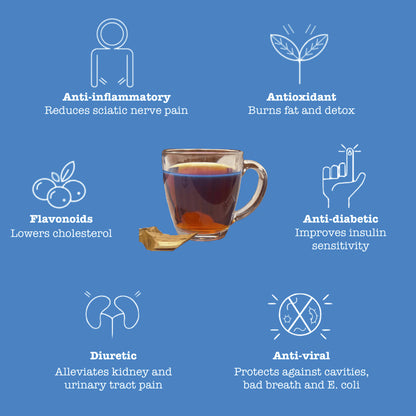 Organic Palo Azul Fluorescent Blue Tea | Kidneywood & Detox - 100% Organic Palo Azul tea bags. Fluorescent blue glow, 8x more antioxidants than green tea. Supports kidney health, detox & alkaline balance. Buy Now at Sacred Remedy