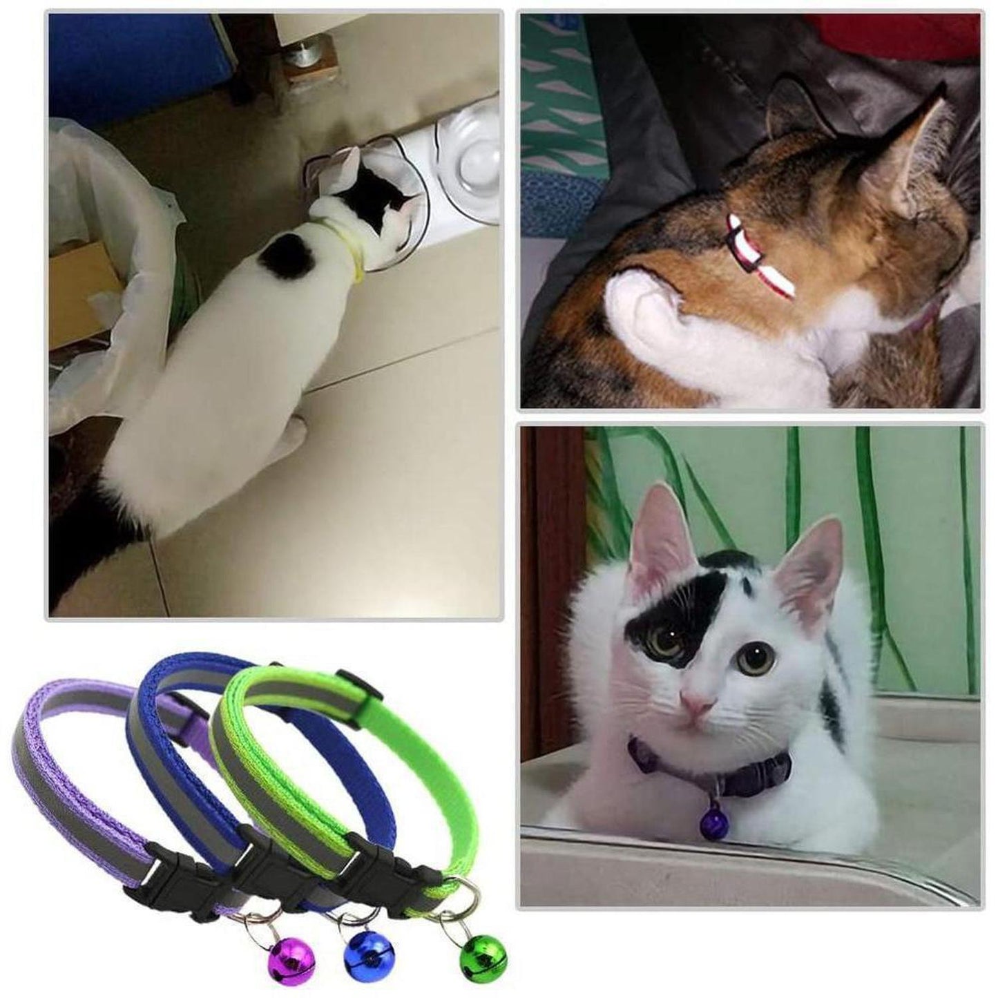 Reflective Small Animal / Kitten / Cat / Puppy Collar with Bell - The gloss reflective collar ensures that your pet is seen in the dark with car headlights. Designed with safety in mind it incorporates a break away buckle to enable your animal to get free if caught on an object. Buy Now at Sacred Remedy