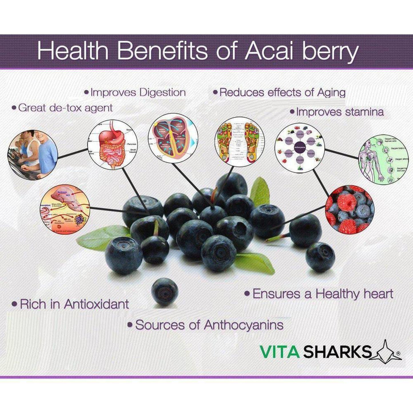 Buy VitaDefence+ Brazilian Acai Berry | Potent Antioxidant & Immune Support Supplement - Rich in Vitamins, Minerals, Phyto-Nutrients & Polyphenols; all-round support for energy, immunity, health and vitality. Protection against free radical damage, support for Bones, Skin, hair and nails. Beneficial for; Weight loss Inflammation, Blood sugar levels, Cholesterol levels & Protection against premature ageing. at Sacred Remedy Online