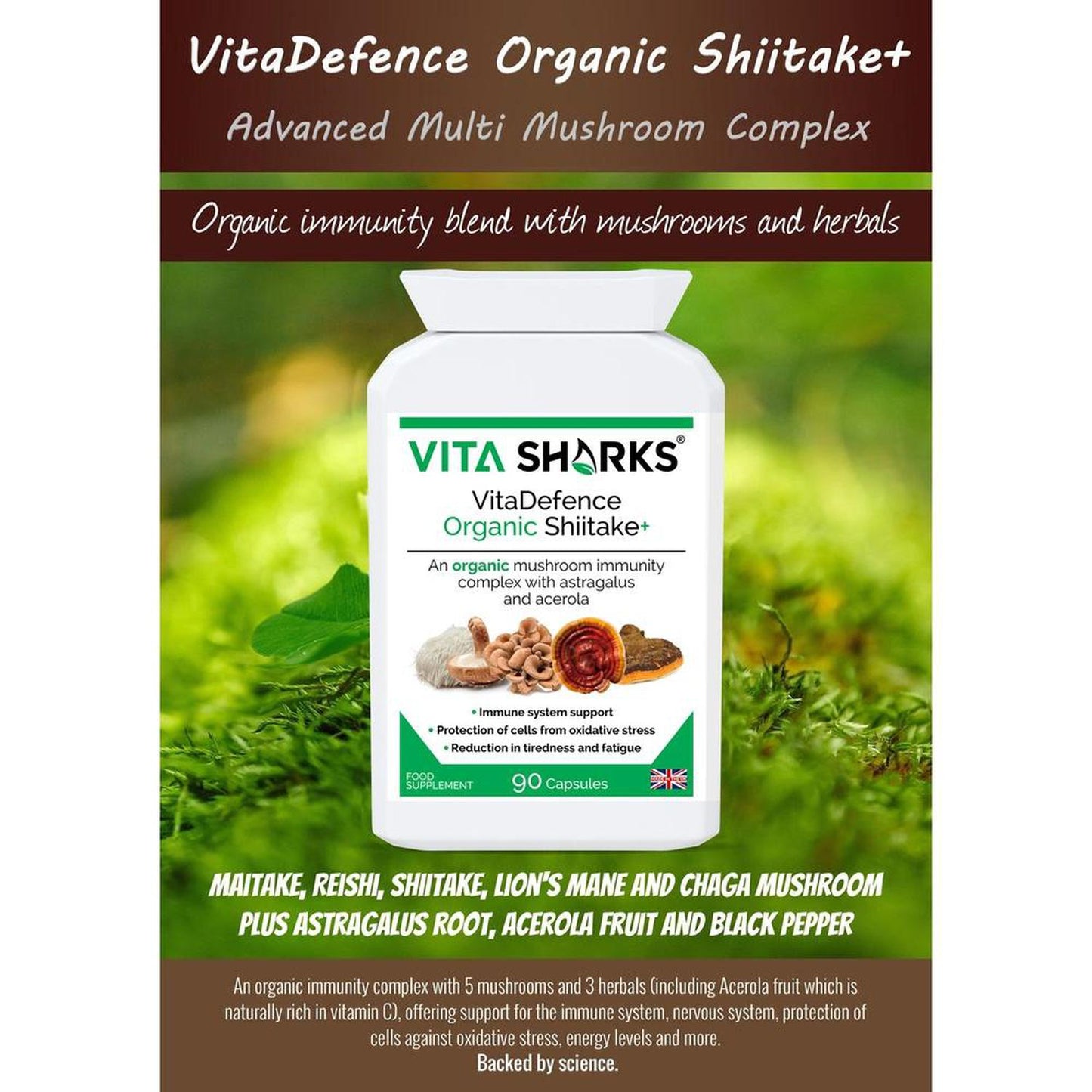 VitaDefence Organic Shiitake+ Maitake, Reishi, Lion's Mane, Chaga Multi-Mushroom Capsules - An organic mushroom immunity blend with Maitake, Reishi, Shiitake, Lion's Mane, Chaga PLUS Astragalus root, Acerola fruit and black pepper - all in one convenient capsule, providing important nutrients (such as vitamin C and vegan vitamin D) and active ingredients that are not found in other plants. Buy Now at Sacred Remedy