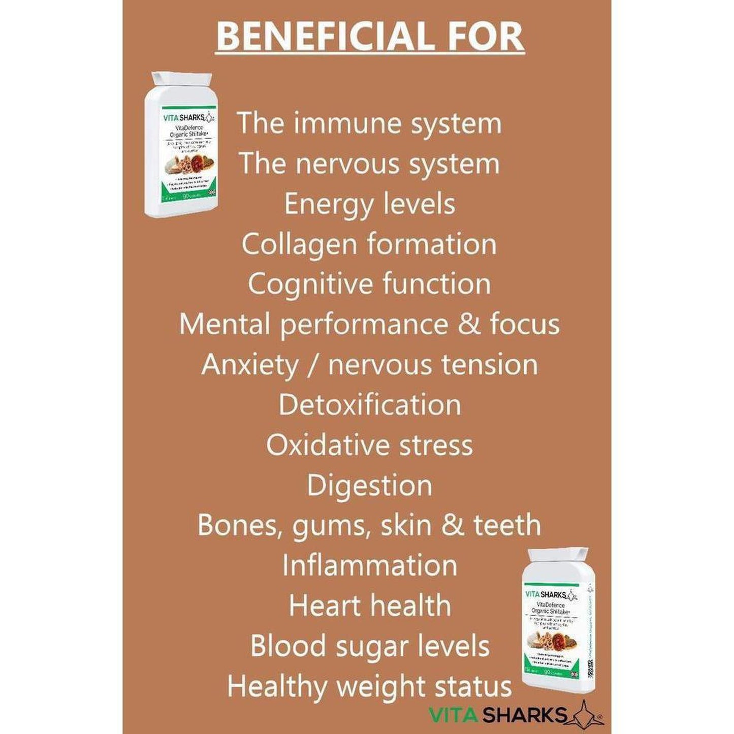 VitaDefence Organic Shiitake+ Maitake, Reishi, Lion's Mane, Chaga Multi-Mushroom Capsules - An organic mushroom immunity blend with Maitake, Reishi, Shiitake, Lion's Mane, Chaga PLUS Astragalus root, Acerola fruit and black pepper - all in one convenient capsule, providing important nutrients (such as vitamin C and vegan vitamin D) and active ingredients that are not found in other plants. Buy Now at Sacred Remedy