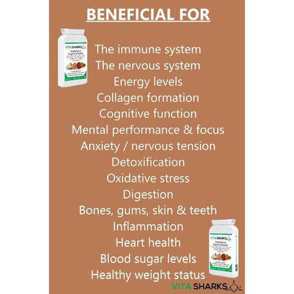 VitaDefence Organic Shiitake+ Maitake, Reishi, Lion's Mane, Chaga Multi-Mushroom Capsules - An organic mushroom immunity blend with Maitake, Reishi, Shiitake, Lion's Mane, Chaga PLUS Astragalus root, Acerola fruit and black pepper - all in one convenient capsule, providing important nutrients (such as vitamin C and vegan vitamin D) and active ingredients that are not found in other plants. Buy Now at Sacred Remedy