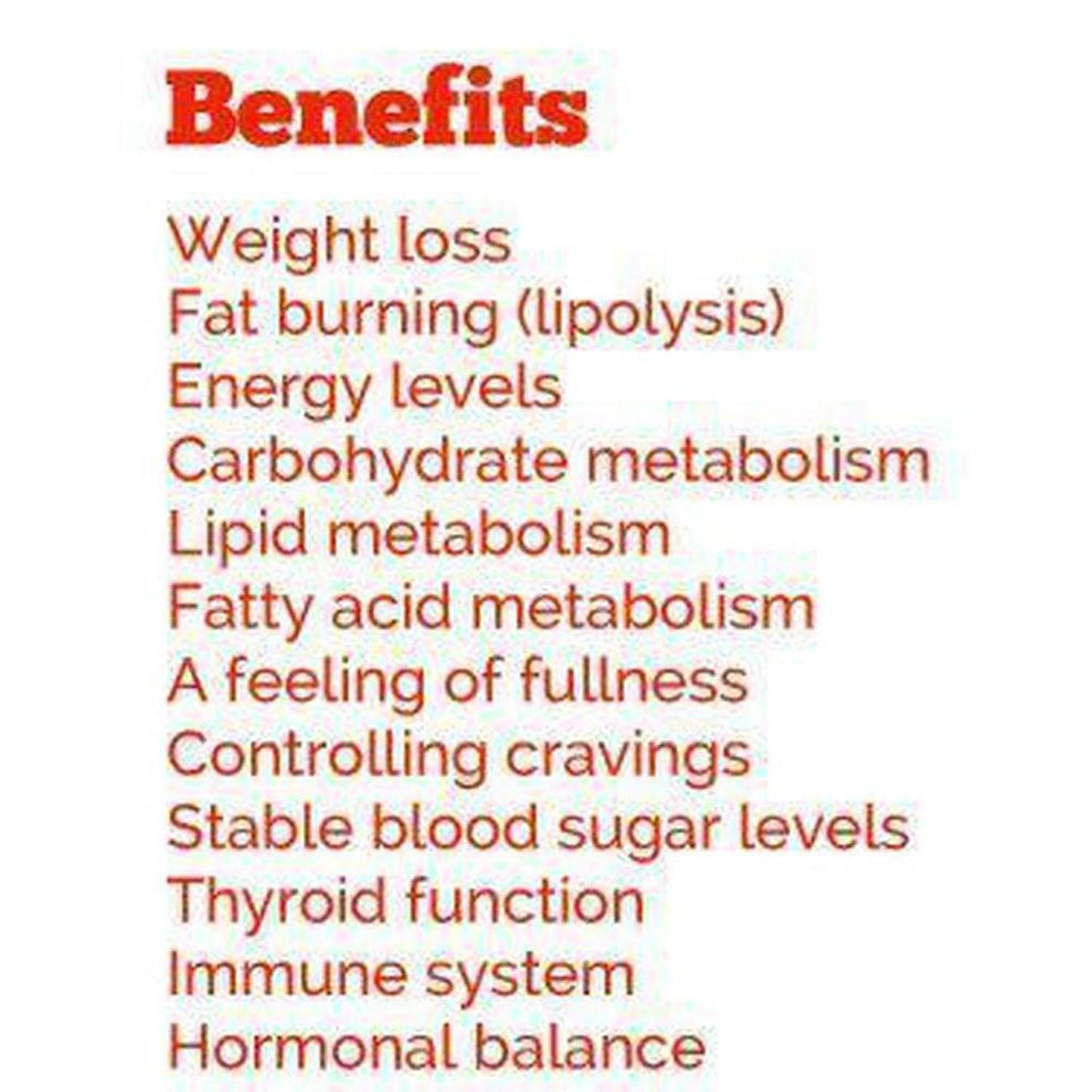 VitaDiet Slim | Thermogenic Metaboliser & Fat Burner to Support Effective Weight Loss - A thermogenic fat metaboliser & herbal weight management health supplement, supporting the body's natural fat burning processes, along with the feeling of fullness, energy levels, thyroid function, carbohydrate, lipid and fatty acid metabolism, stable blood sugar levels & other vital aspects of effective weight loss. Buy Now at Sacred Remedy