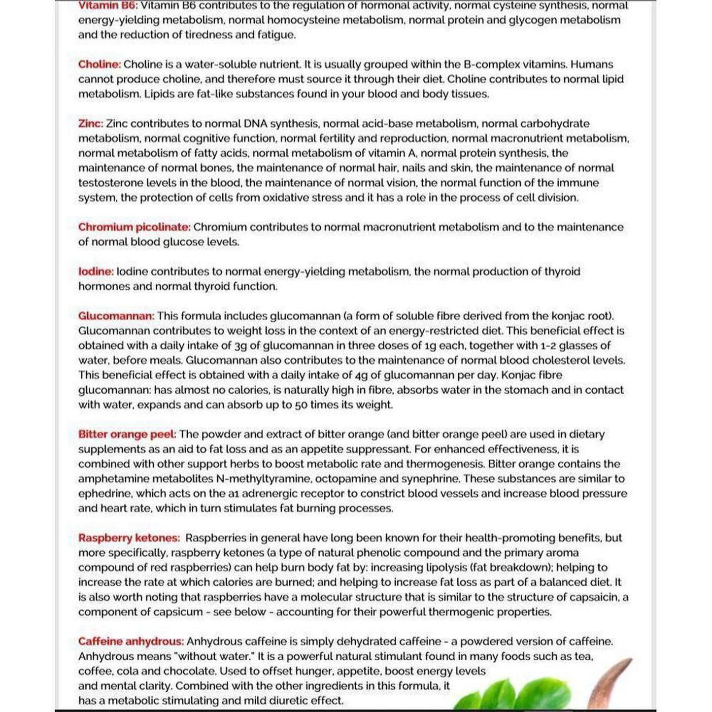 VitaDiet Slim | Thermogenic Metaboliser & Fat Burner to Support Effective Weight Loss - A thermogenic fat metaboliser & herbal weight management health supplement, supporting the body's natural fat burning processes, along with the feeling of fullness, energy levels, thyroid function, carbohydrate, lipid and fatty acid metabolism, stable blood sugar levels & other vital aspects of effective weight loss. Buy Now at Sacred Remedy