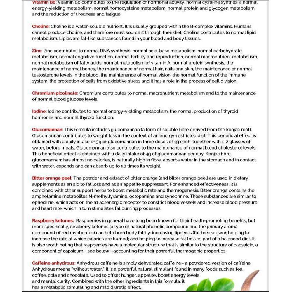 Buy VitaDiet Slim | Thermogenic Metaboliser & Fat Burner to Support Effective Weight Loss - A thermogenic fat metaboliser & herbal weight management health supplement, supporting the body's natural fat burning processes, along with the feeling of fullness, energy levels, thyroid function, carbohydrate, lipid and fatty acid metabolism, stable blood sugar levels & other vital aspects of effective weight loss. at Sacred Remedy Online